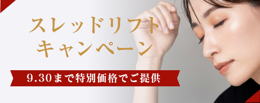 スレッドリフトキャンペーンのサブスライド