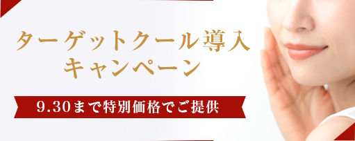 ターゲットクール導入キャンペーンのサブスライド