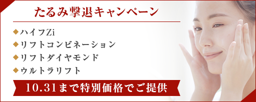 たるみ撃退キャンペーンのサブスライド
