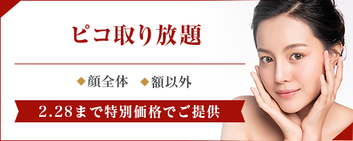 ピコ取り放題のサブスライド