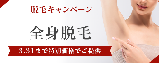 脱毛キャンペーンのサブスライド