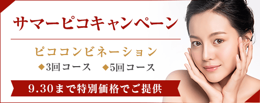 サマーピコキャンペーンのサブスライド